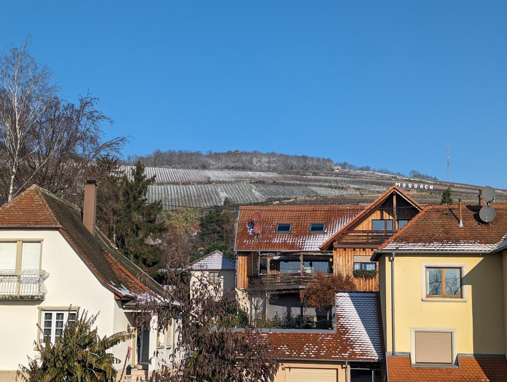 Le Cosy Lägenhet Marlenheim Exteriör bild
