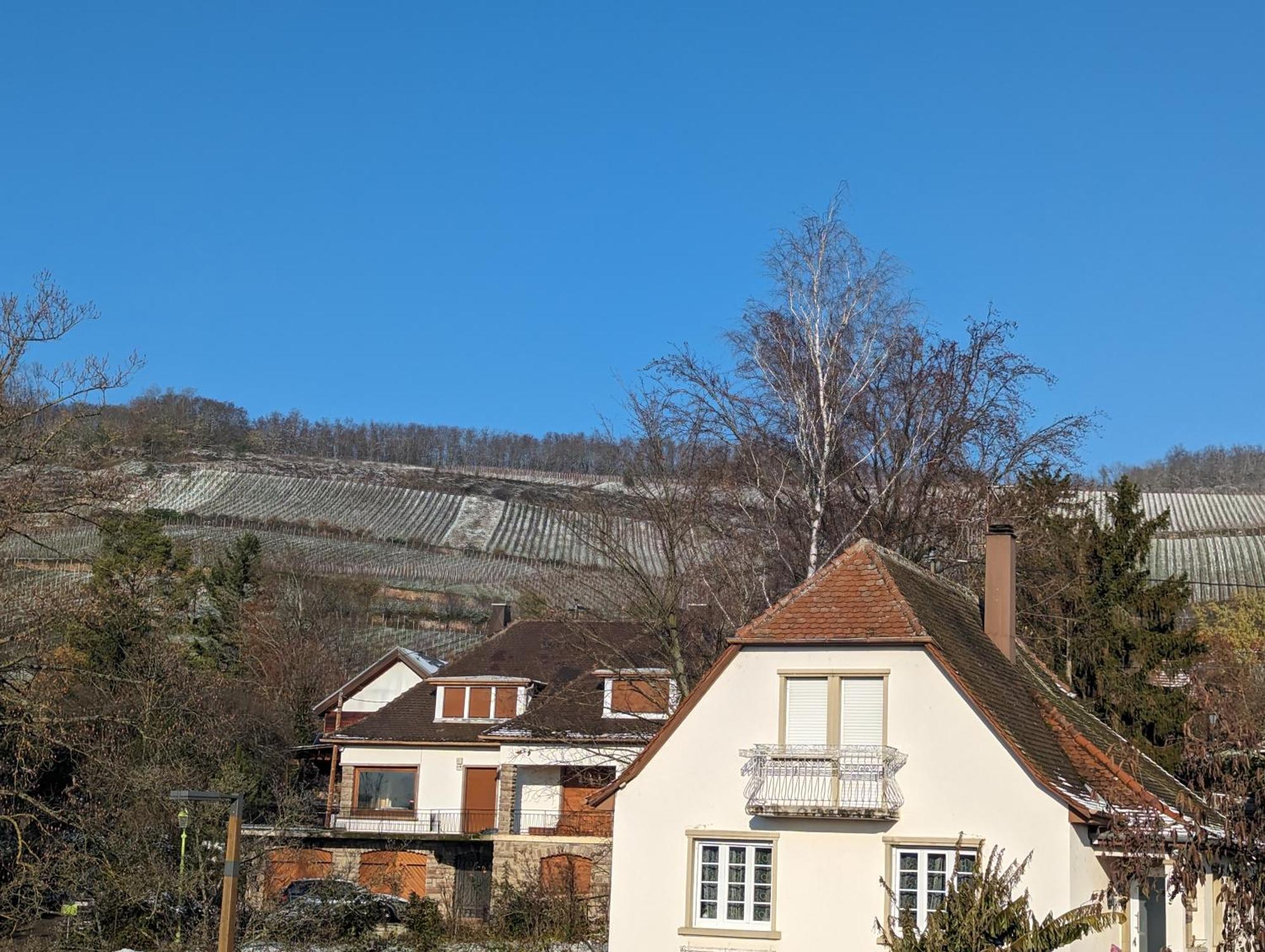 Le Cosy Lägenhet Marlenheim Exteriör bild
